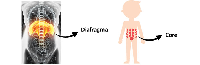 A Importância da Respiração: Diafragma x Core