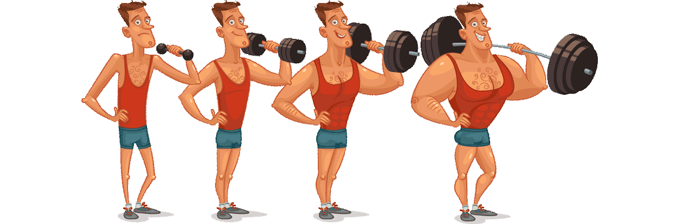 Treinamento em Circuito com Pesos: Força Muscular