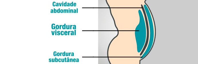 gordura-corporal-6