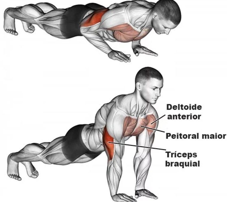 1 – Flexão de braço fortalecimento de membros superiores