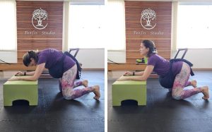 exercícios-para-gestantes-gato-com-apoio